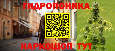 прущие крисы Кандалакша