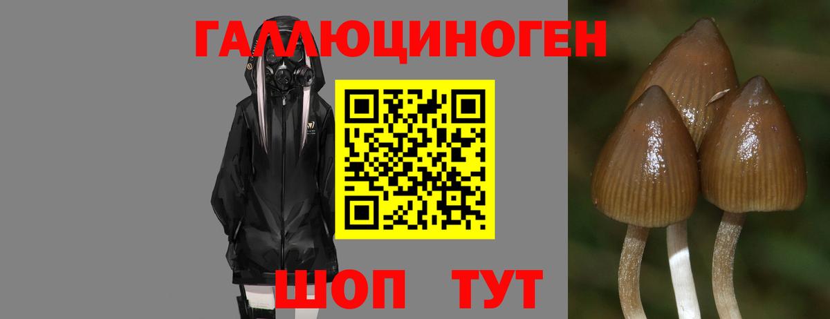 Галлюциногенные грибы Cubensis  Галлюциногенные грибы ЛСД  Кропоткин  Вход с VPN 