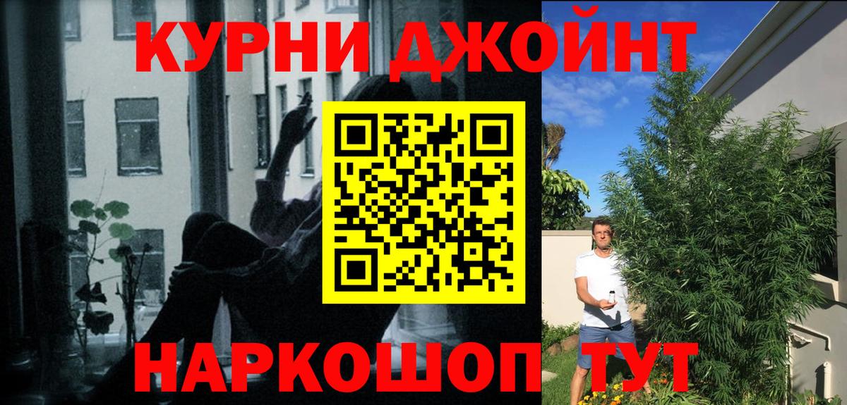 Конопля сатива Кропоткин
